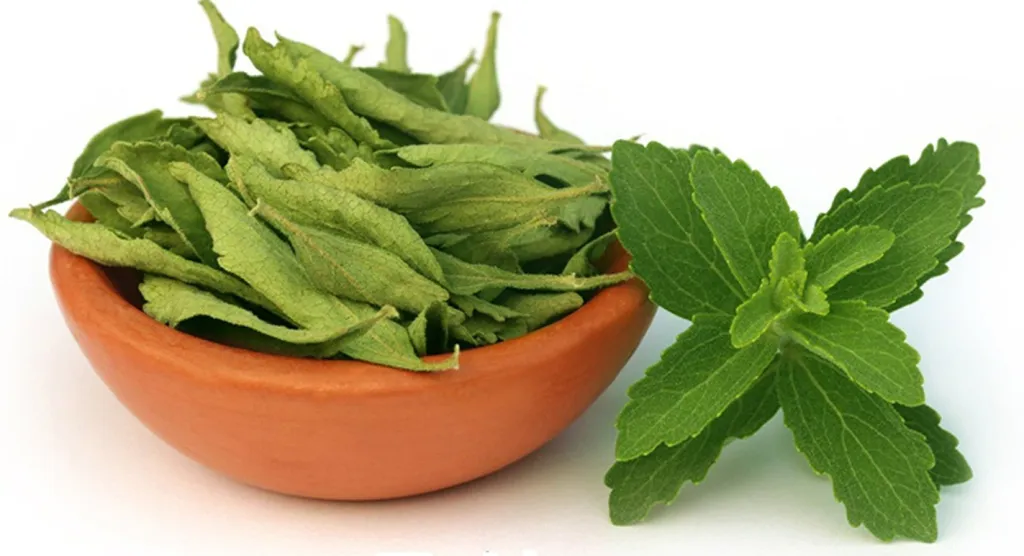 Feuilles de stevia